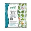 Menthe douce surgelée