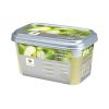 Purée de pomme verte sucrée surgelée