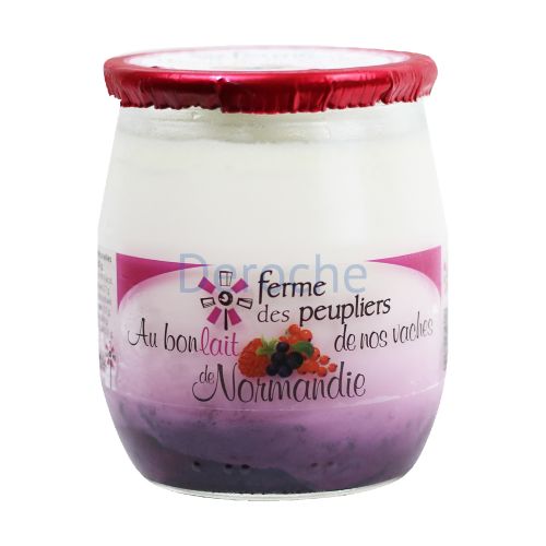 Yaourt sur lit de fruits des bois au lait entier Yaourt sur lit de fruits des bois au lait entier